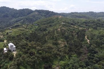 Bentong, 150.03 acres OPEN FOR TENDER