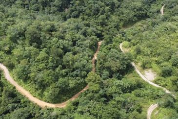 Bentong, 150.03 acres OPEN FOR TENDER