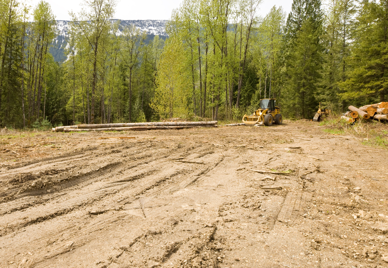 1 to 10 acres Multiple lots to rent 