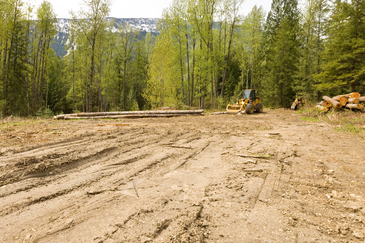 Kerling Cheapest Price Converted Industrial Land