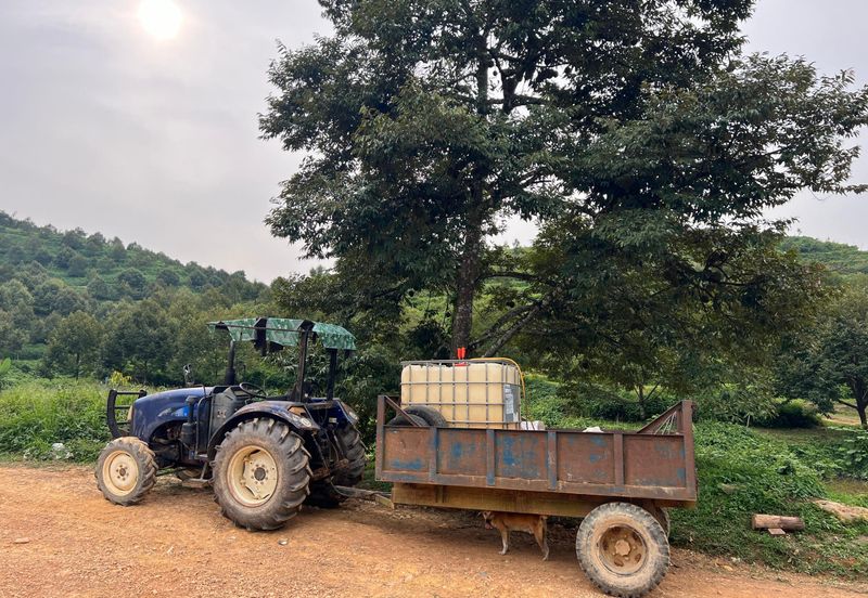 Gua Musang, High-quality durian orchard for sale, the first choice for orchard investment!