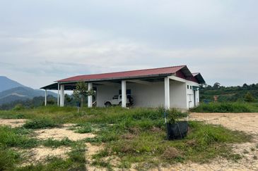 Gua Musang, High-quality durian orchard for sale, the first choice for orchard investment!