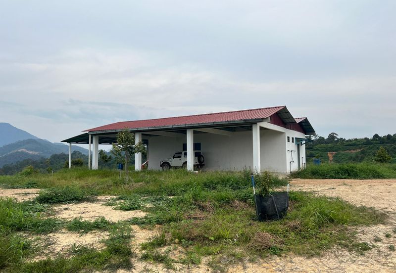 Gua Musang, High-quality durian orchard for sale, the first choice for orchard investment!