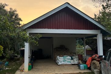 High-quality durian orchard for sale, the first choice for orchard investment!