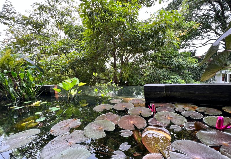 Damansara Heights (Bukit Damansara)