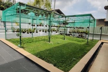 Bukit Pantai (Pantai Hill)