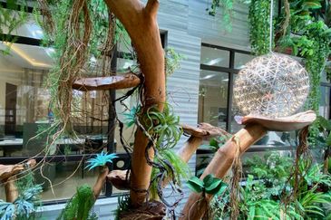 Tropicana Golf & Country Resort