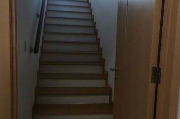 The Colony by Infinitum