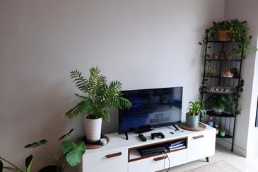 FOR RENT - TROPICANA DIANTHUS, KOTA DAMANSAR