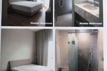 Cyperus @ Tropicana Gardens