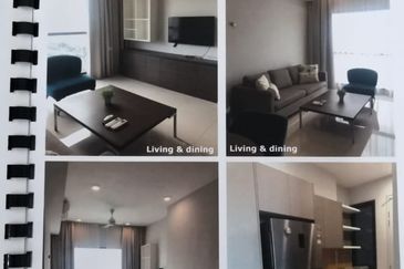 Cyperus @ Tropicana Gardens