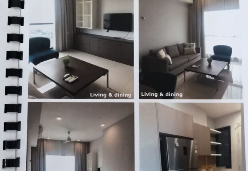 Cyperus @ Tropicana Gardens