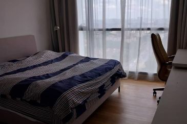 Cyperus @ Tropicana Gardens