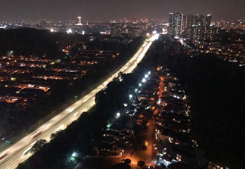 Cyperus @ Tropicana Gardens