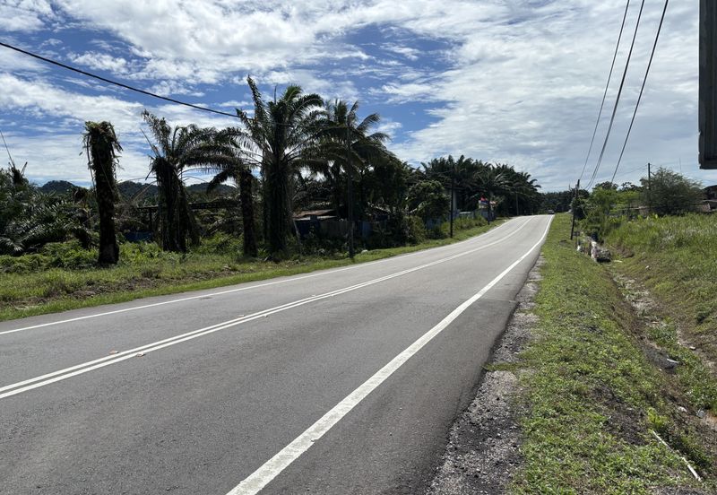 Pekan Nanas Industrial