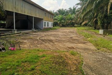 Kota Tinggi 22 acre Agriculture Land