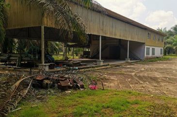 Kota Tinggi 22 acre Agriculture Land