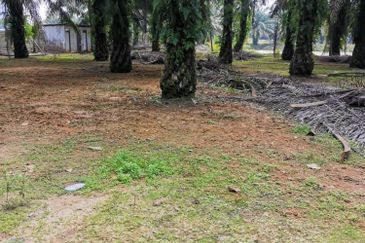 Kota Tinggi 22 acre Agriculture Land