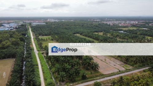 Agriculture land at kuala selangor (Residential Zone) , Selangor, Kuala Selangor