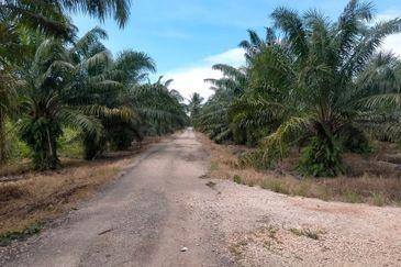 Sabak Bernam Kuala Selangor sungai burung 