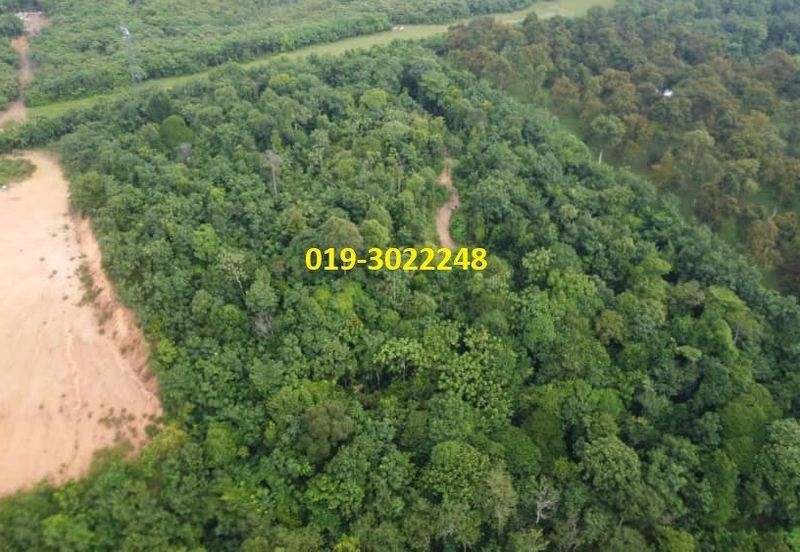 Kuala selangor api-api, bukit rotan 