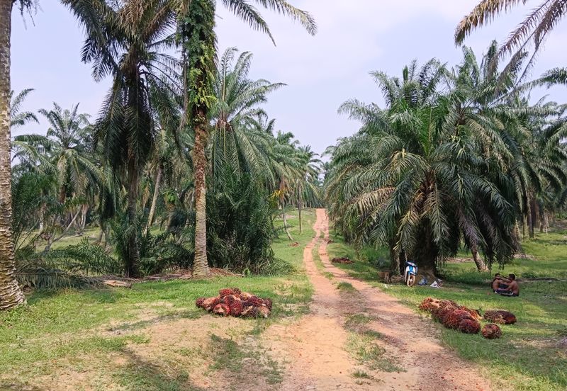 Strategic Development Land at Bandar Puncak Alam