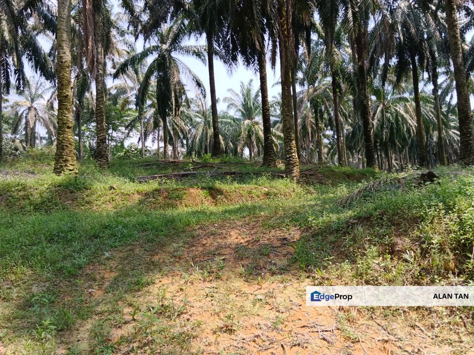 Strategic Development Land at Bandar Puncak Alam, Selangor, Bandar Puncak Alam