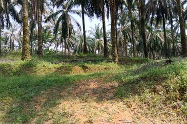 Strategic Development Land at Bandar Puncak Alam