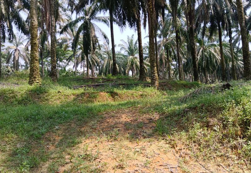 Strategic Development Land at Bandar Puncak Alam