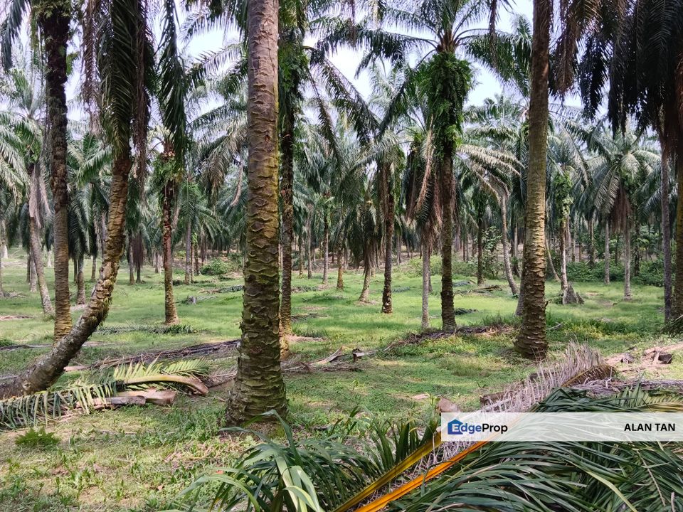 Strategic Development Land at Bandar Puncak Alam, Selangor, Bandar Puncak Alam