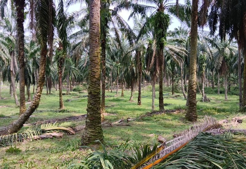 Strategic Development Land at Bandar Puncak Alam