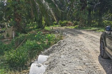 Industrial Zoning Agri Title Land at Telok Mengkuang Industrial Area