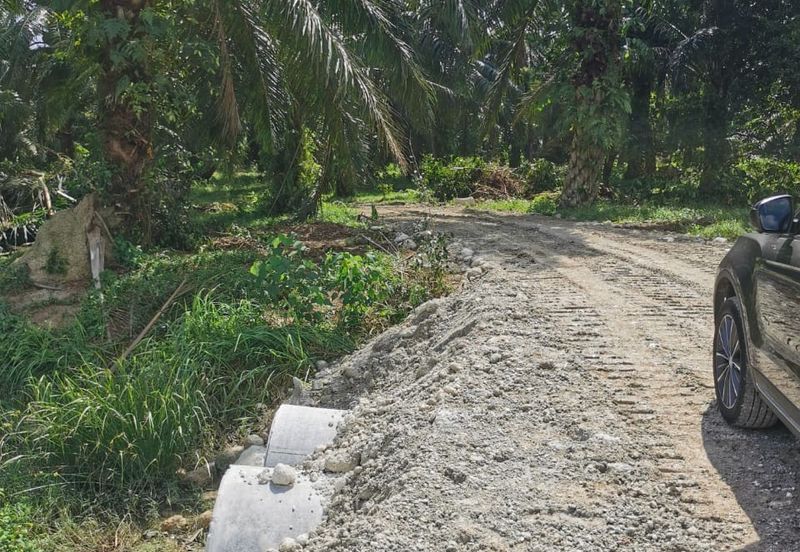 Industrial Zoning Agri Title Land at Telok Mengkuang Industrial Area