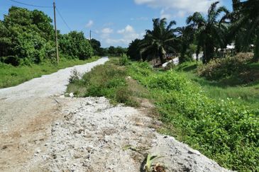 Industrial Zoning Agri Title Land at Telok Mengkuang Industrial Area
