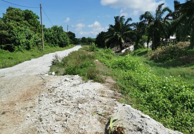 Industrial Zoning Agri Title Land at Telok Mengkuang Industrial Area