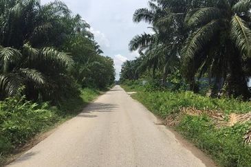 Industrial Zoning Agri Title Land at Telok Mengkuang Industrial Area