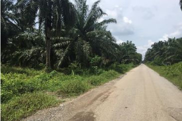 Industrial Zoning Agri Title Land at Telok Mengkuang Industrial Area