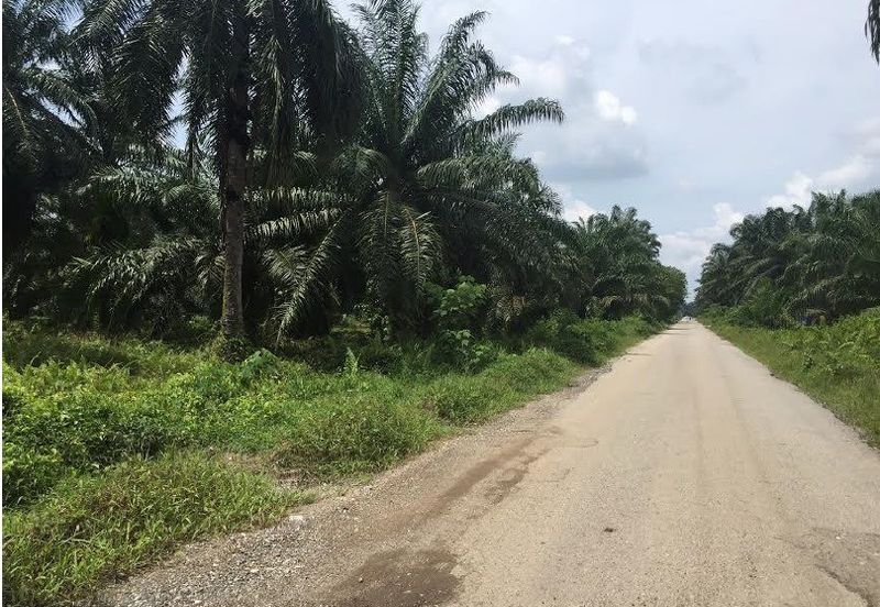 Industrial Zoning Agri Title Land at Telok Mengkuang Industrial Area