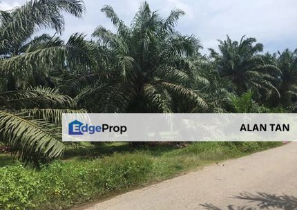 Industrial Zoning Agri Title Land at Telok Mengkuang Industrial Area, Selangor, Telok Panglima Garang