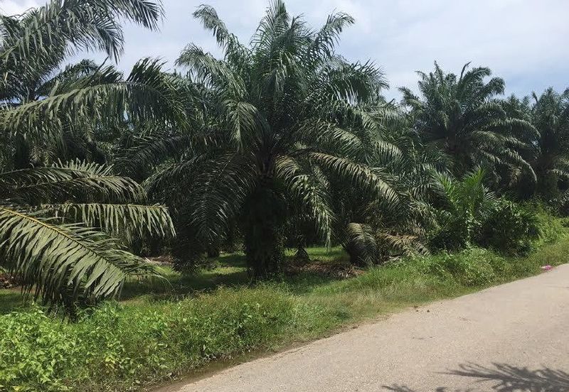 Industrial Zoning Agri Title Land at Telok Mengkuang Industrial Area