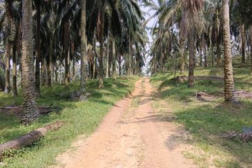 Strategic Land at Bandar Puncak Alam