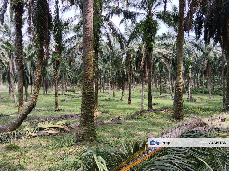 Strategic Land at Bandar Puncak Alam, Selangor, Bandar Puncak Alam