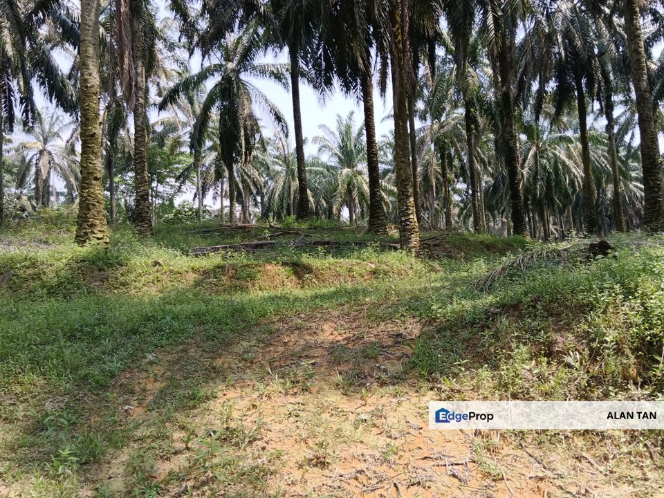 Strategic Land at Bandar Puncak Alam, Selangor, Bandar Puncak Alam