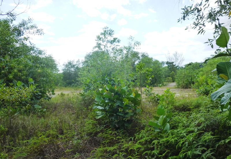 Jalan Merah Pulasan U9/4 