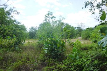 Jalan Merah Pulasan U9/4 