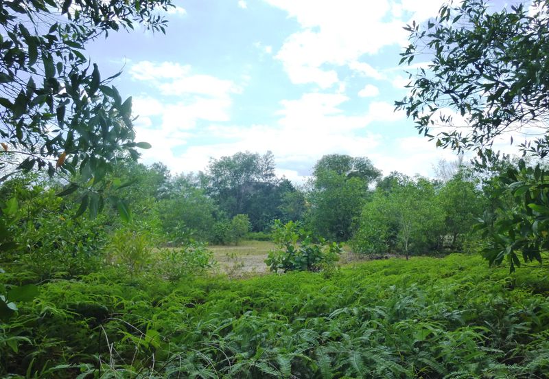 Jalan Merah Pulasan U9/4 