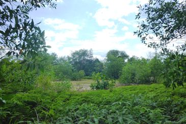 Jalan Merah Pulasan U9/4 