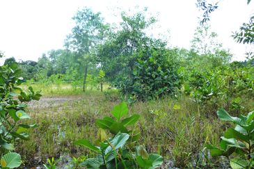 Jalan Merah Pulasan U9/4 