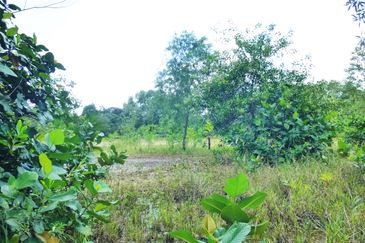 Jalan Merah Pulasan U9/4 