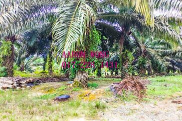 Sabai, Paya Chum, Bentong